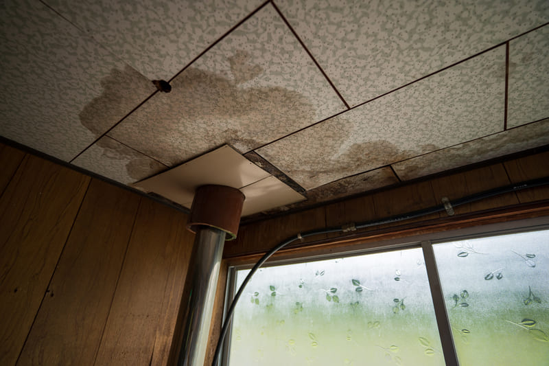 屋根の雨漏りが発生したらすぐに業者に修理を依頼すべき理由について